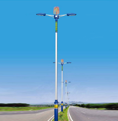 1742826618334021.jpg 玛多LED路灯.jpg